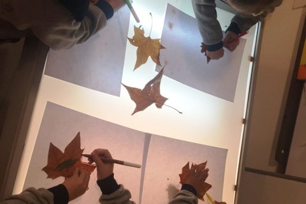 ACTIVIDADES-VARIAS-(3)