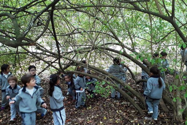 JARDÍN-BOTÁNICO-(5)