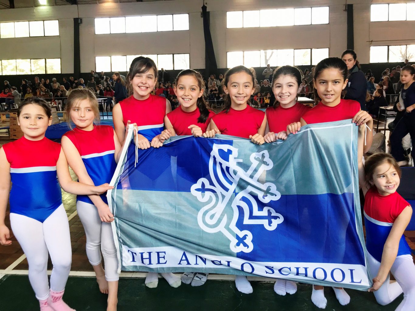Gimnasia artística