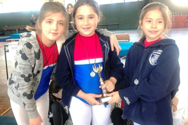 GIMNASIA ARTÍSTICA (2)