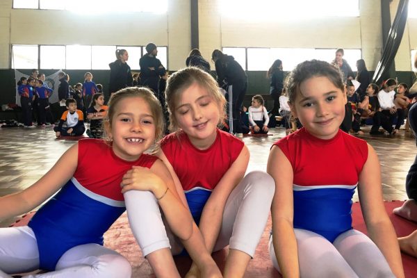 GIMNASIA ARTÍSTICA (7)